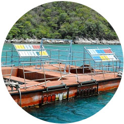 Thử nghiệm biển