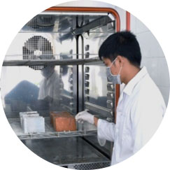 Thử nghiệm gia tốc