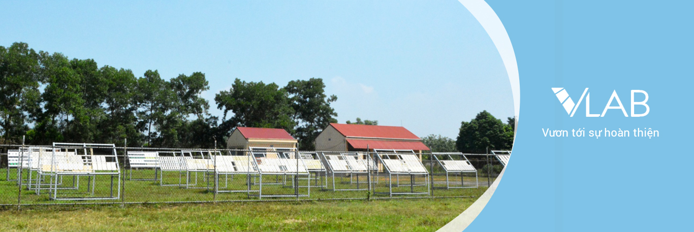 Vươn tới sự hoàn thiện