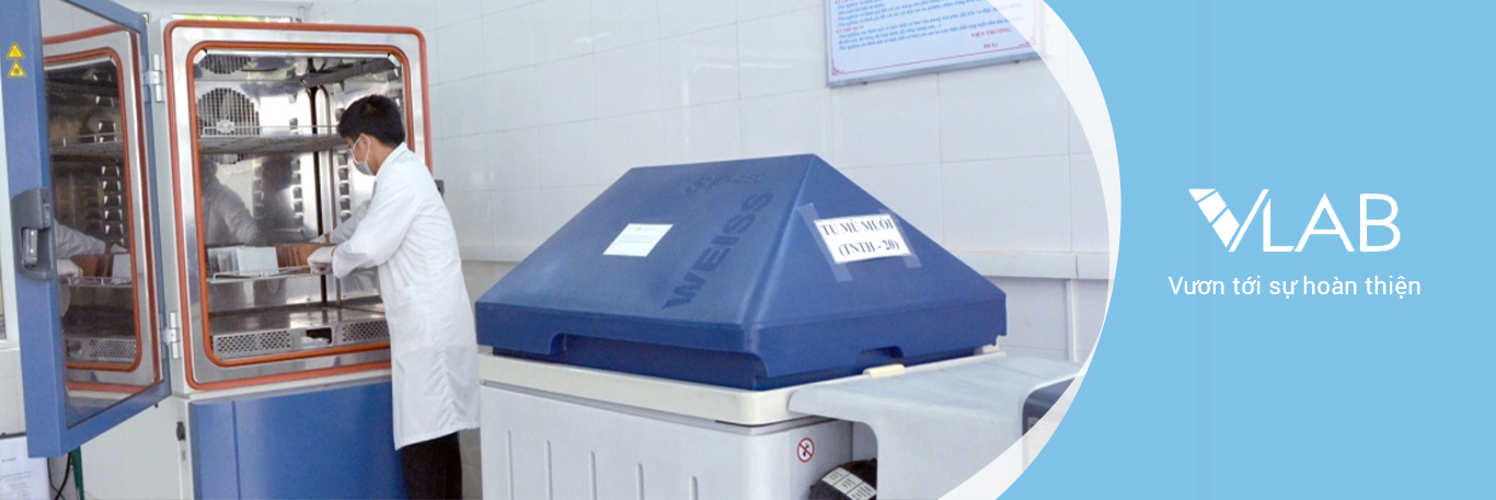 Vươn tới sự hoàn thiện