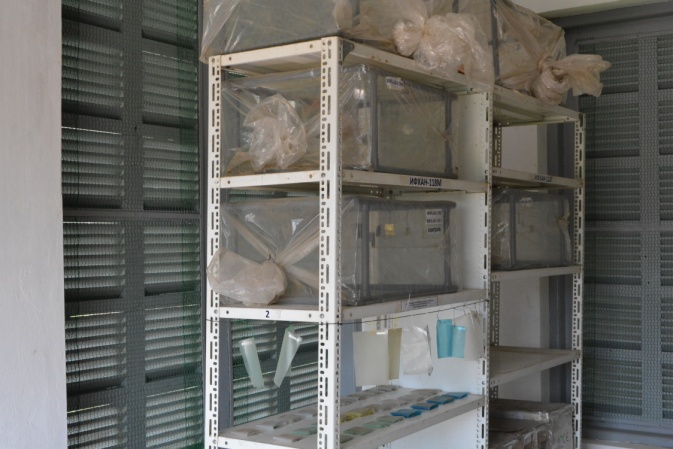 Thử nghiệm các màng bao gói