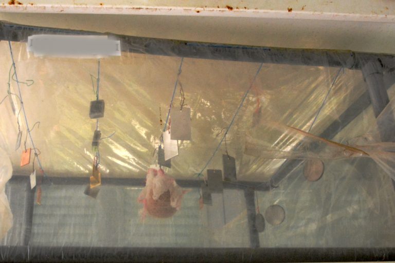  Thử nghiệm các chất ức chế ăn mòn - Thư viện