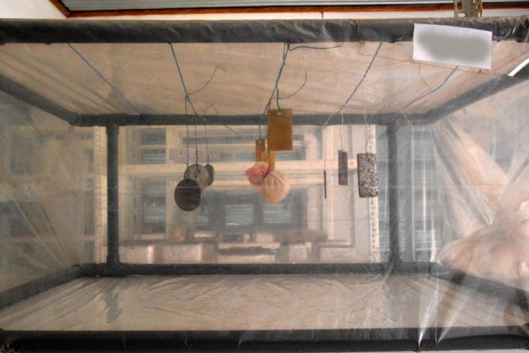  Thử nghiệm các chất ức chế ăn mòn - Thư viện