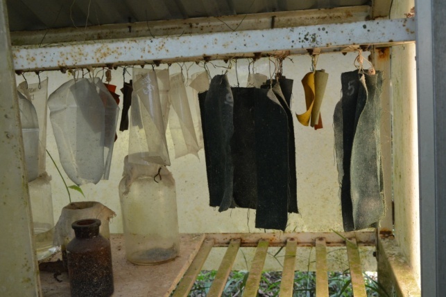 Thử nghiệm tự nhiên các mẫu vải